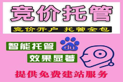 百度推广平台实战经验：案例解析，助力企业成长